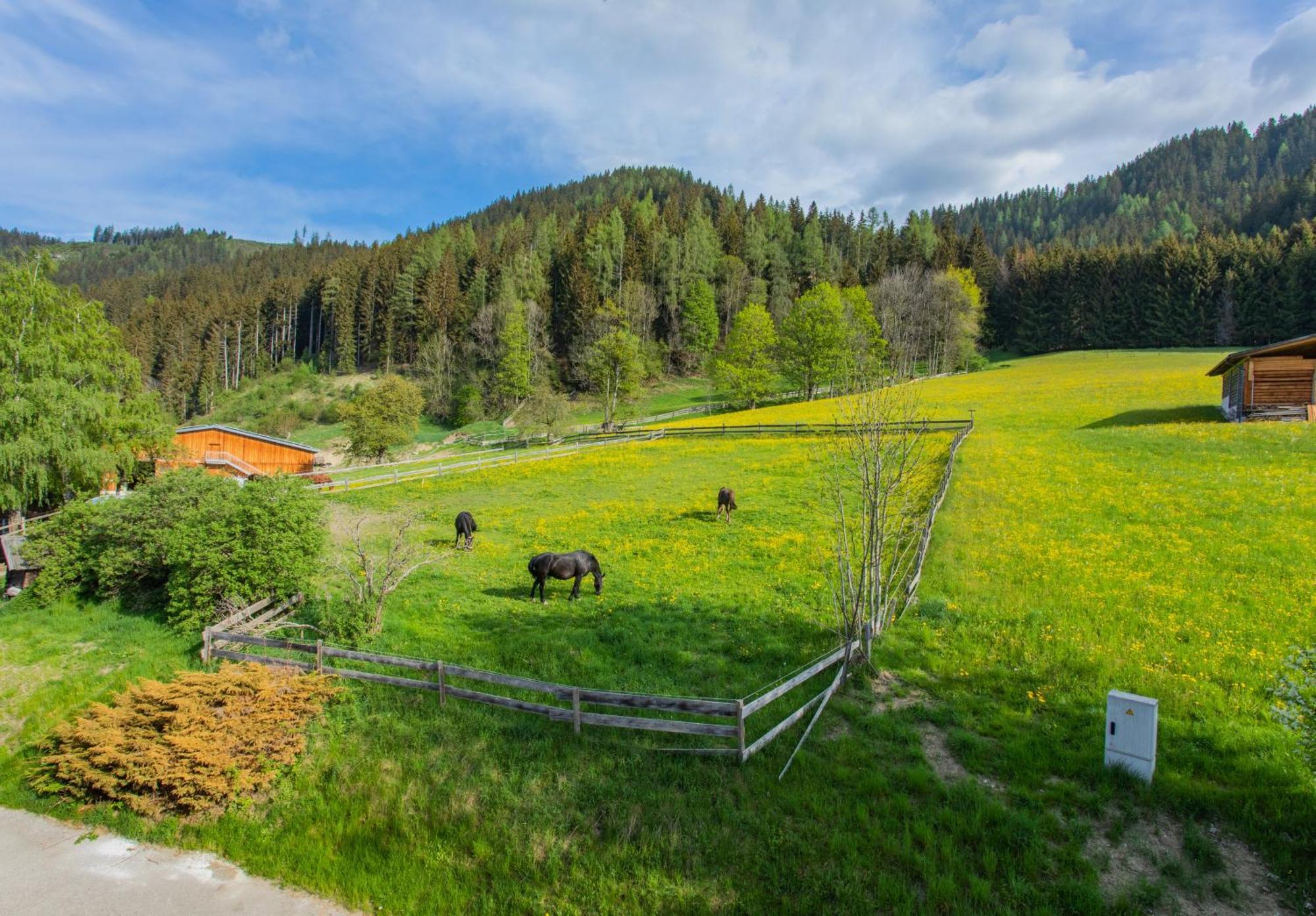 Huberhof 8 By Alpenidyll Apartments Schladming Exterior photo
